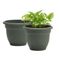 Bloem Ariana 20" Plastic Self-Watering Planter, Basil, 2-Pack - color: Basil, size: 20" (Pack of 2)