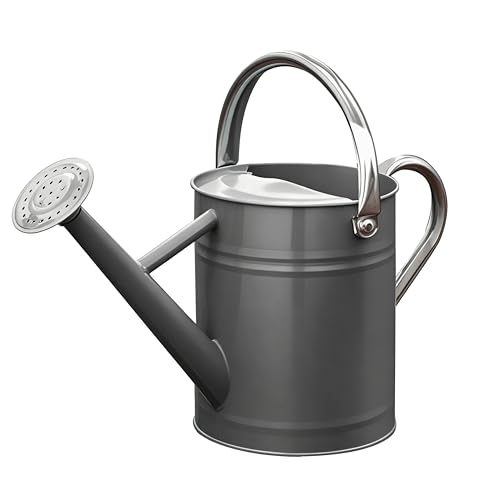 Metal Watering Can for Outdoor Plants, Watering Can Decor 1 Gallon (Gray) - color: Gray