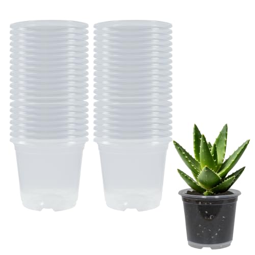 40 Pack 6 Inch Clear Nursery Pots with Drainage Half Gallon Plant Pots for Plants 0.5 Gallon Transparent Potting Containers for Plants Seeding Starter Pot (Clear, 6 Inch 40 Pcs) - color: Clear, size: Clear, 6 Inch 40 Pcs