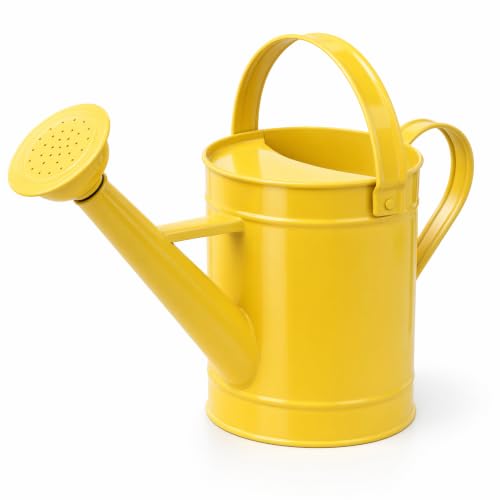 DUSVALLY Metal Watering Can, 55 oz Outdoor Plant Watering Can, Yellow