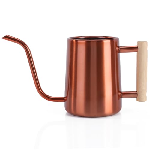 Watering Can Indoor Plants, 35 oz/1000 ml Metal Stainless Steel Watering Can Pot with Long Spout for Indoor House Plants Bonsai Outdoor Garden Flower Decorative (Copper) - color: Copper