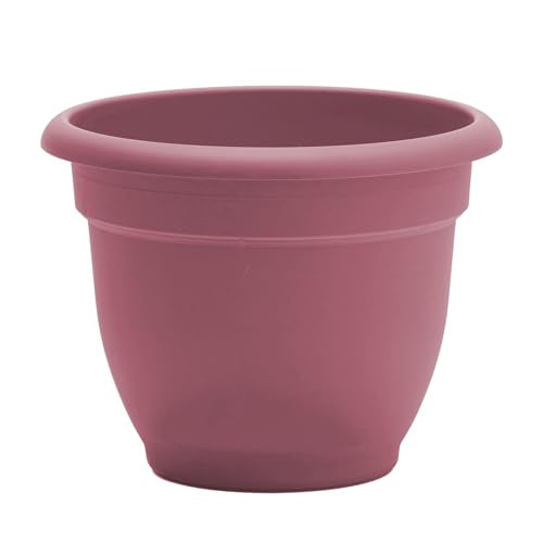 Bloem Ariana 10" Plastic Self-Watering Planter, Dusty Rose, 4-Pack - color: Dusty Rose, size: 10" (Pack of 4)