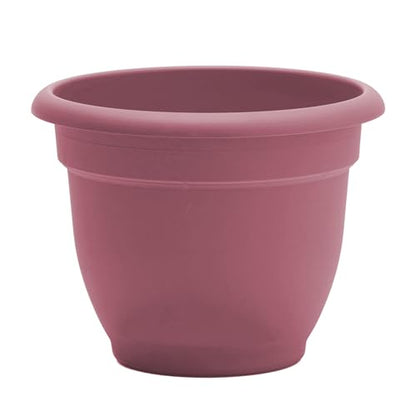 Bloem Ariana 10" Plastic Self-Watering Planter, Dusty Rose, 4-Pack - color: Dusty Rose, size: 10" (Pack of 4)