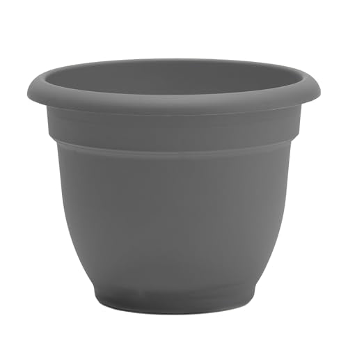Bloem Ariana 10" Plastic Self-Watering Planter, Charcoal, 4-Pack - color: Charcoal, size: 10" (Pack of 4)