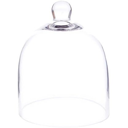 Plymor 6" x 7" Bell Jar Glass Display Dome Cloche (Small - Interior Size 5.75 inch x 5.75 inch) - size: 6" x 7"