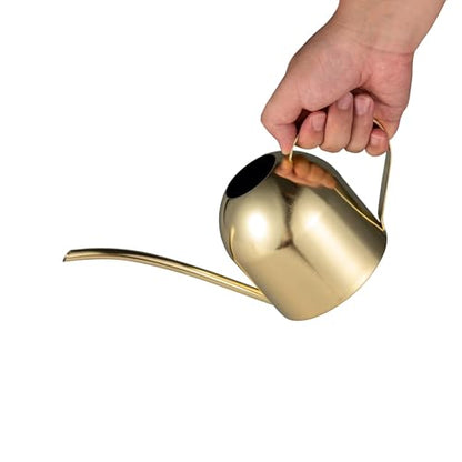 IMEEA 30oz Indoor Plant Watering Can Stainless Steel Long Spout, Gold - color: 30oz (1l) - Gold