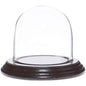 Plymor 3" x 3" Glass Display Dome Cloche (Dark Mahogany Veneer Base) - color: Dark Mahogany Veneer Base