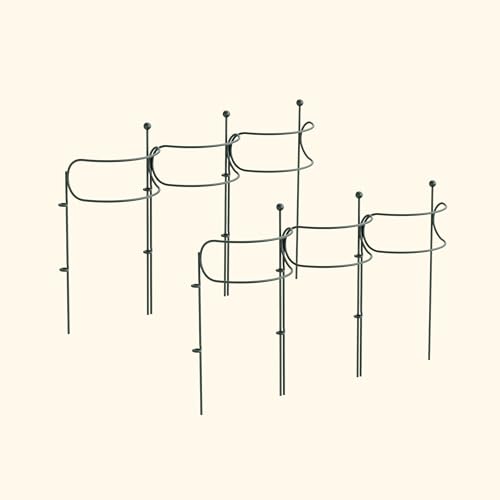 6 Pack Curved Plant Support Stakes, Dual Half Round Metal Garden Plant Stake, Peony Cages and Supports, 10"(W) x 20" (H) Flower Support Ring for Peonies, Hydrangea - size: Medium