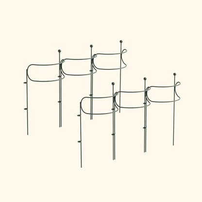 6 Pack Curved Plant Support Stakes, Dual Half Round Metal Garden Plant Stake, Peony Cages and Supports, 10"(W) x 20" (H) Flower Support Ring for Peonies, Hydrangea - size: Medium