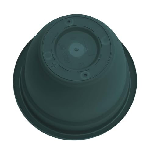 Bloem Ariana 20" Plastic Self-Watering Planter, Charleston Green, 2-Pack - color: Charleston, size: 20" (Pack of 2)