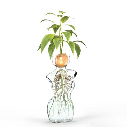 Elegant Female Silhouette Glass Vase by HMC for Plant Propagation and Flower Arrangements - Perfect for Seed Starting, Water Rooting, and Home Decor - Ideal for Avocado, Bulbs, and Plant Cuttings