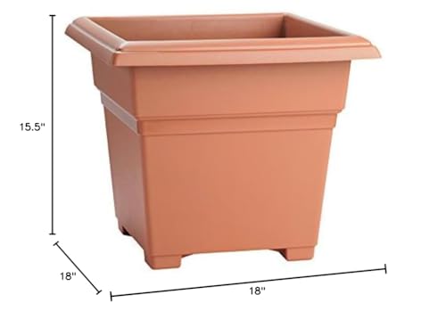 Root & Vessel Countryside Square Planter, Terra Cotta, 18-Inch - color: Terra, size: 18-Inch