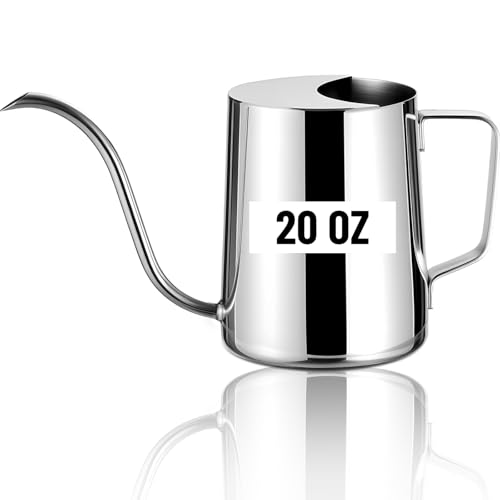 Doseno Indoor Watering Can, Long Spout Watering Can, Stainless Steel, 20 oz - size: 600ml/20oz-Stainless Steel