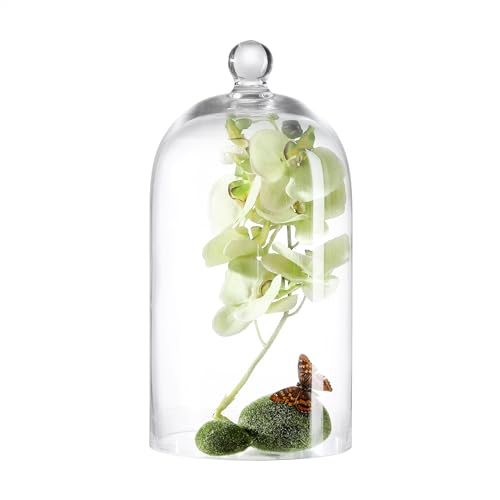 KMwares Clear Glass Display Dome Cloche Bell Jar Tabletop Decorative Case Covered Plants/Food (Medium) - size: Medium