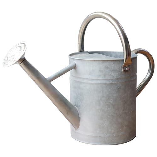 Metal Watering Can for Outdoor Plants, Watering Can Decor 1 Gallon (Zinc) - color: 004 Zinc Stainless Steel Handle