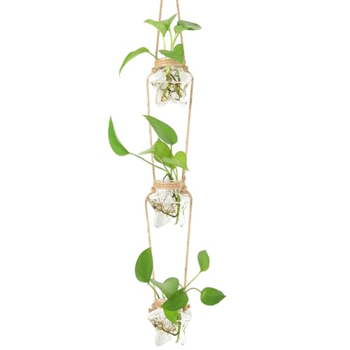 XXXFLOWER 3 Tiers Star Shaped Glass Vase Wall Hanging Propagation Station - size: 3 Star Vases