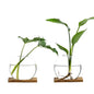 Propagation Vases for Plants - Glass Terrarium Planter with Wooden Stand, Small Desktop Oblate Hydroponic Propagation Vases for Modern Home & Office Decor (2)