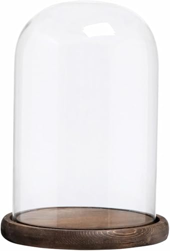 Glass Cloche Bell Jar with Wooden Base,Clear Glass Display Dome Cover,khaki