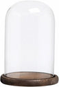 Glass Cloche Bell Jar with Wooden Base,Clear Glass Display Dome Cover,khaki