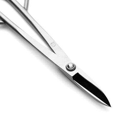 Bonsai Scissors Bonsai Tools (T 180 scissors)