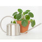 Stainless Steel Houseplant Watering Can, Brushed Silver, 1L Capacity - color: Silver