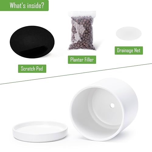 D'vine Dev 2-Pack Ceramic Pots with Saucers, White, 8.2 in, 94-V-D-1 - color: White, size: 8 Inch