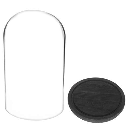 MyGift Bell Jar Glass Cloche Black Wood Base 10 Inch Display Dome - color: Black
