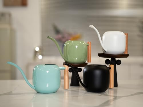 Green Moon 1.2L/41oz Metal Metal Watering Can with Long Spout, Sage Green - color: Sage Green