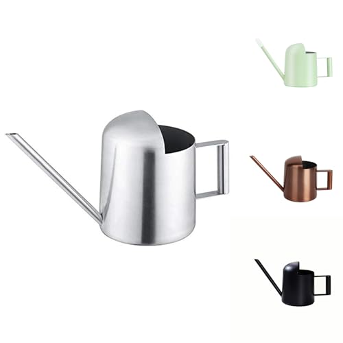 Mini Watering Can, 10oz/300ml Stainless Steel Long Spout Small Watering Can for Indoor Plants Succulents, Herbs (Silver) - color: Silver