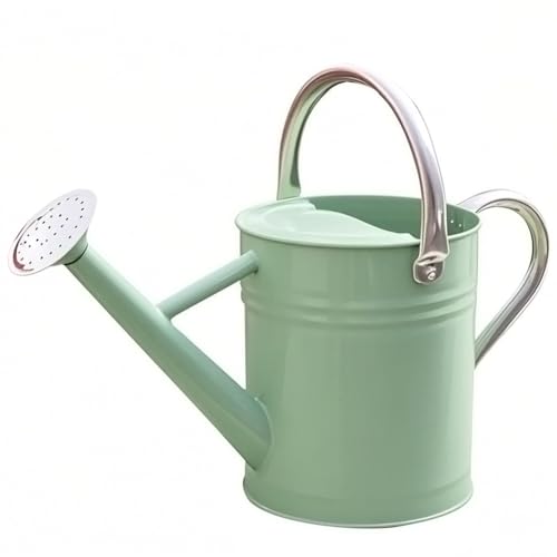 Metal Watering Can 1 Gallon for Outdoor Garden Plants, CGreen - color: Cream Green
