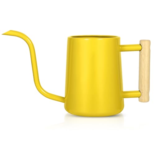 Watering Can Indoor Plants, 35 oz/1000 ml Metal Stainless Steel Watering Can Pot with Long Spout for Indoor House Plants Bonsai Outdoor Garden Flower Decorative (Yellow) - color: Yellow