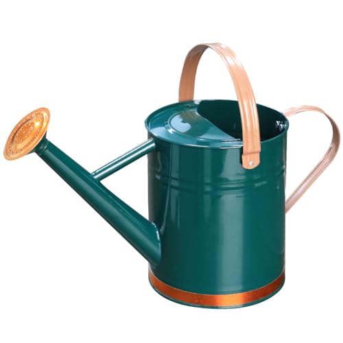 Metal Watering Can 1 Gallon for Outdoor Indoor Garden Plants,GreenB - color: Green With Decorative Strip