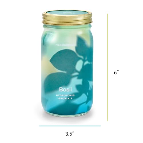Modern Sprout Mason Garden Jar-Self-Watering Hydroponics Kit-Basil+Cilantro - color: Basil+cilantro, size: Garden Jars