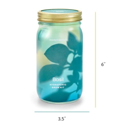 Modern Sprout Mason Garden Jar - Self-Watering Hydroponics Kit - Basil+Mint - color: Basil+mint, size: Garden Jars