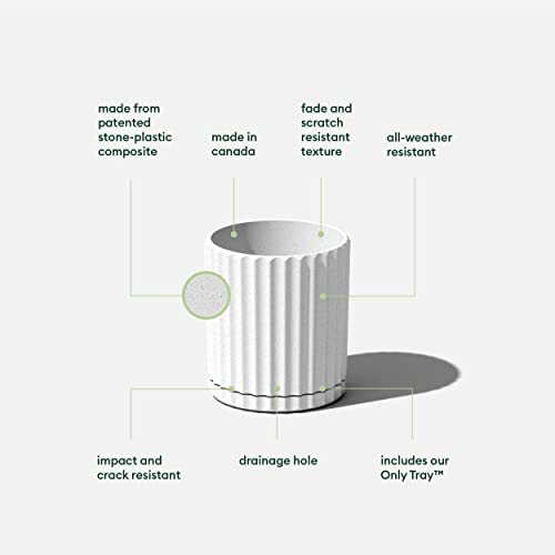 Veradek Demi Series Demi 6" Planter w/Tray, White - color: White, size: 6 inch
