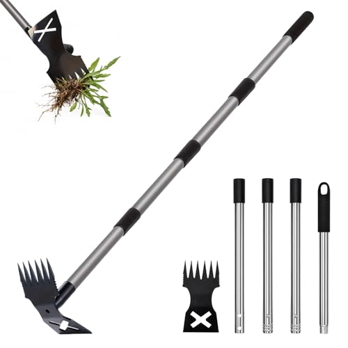 Weed Puller Tool with Long Handle - 2 in 1 Manual Weeding Rake and Garden Hoe, 60 Inch Heavy Duty Manual Weeding Tool, Suitable for Clearing Weeds in Gardens, Courtyards, Lawns, Patios