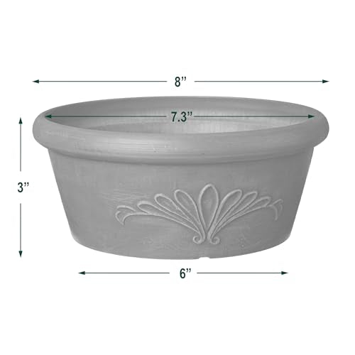 Arcadia Garden Products PSW TA20C Plastic/Stone/Wood Composite Bulb Pan – No Drainage Hole (Drillable), 8"x3", Chocolate - color: Chocolate, size: 8"x3"