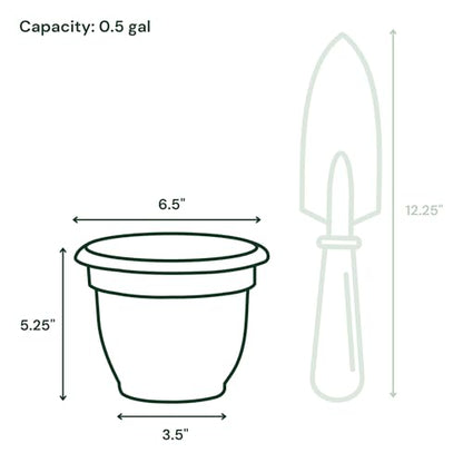 Bloem Ariana 6" Plastic Self-Watering Planter, Basil, 4-Pack - color: Basil, size: 6" (Pack of 4)