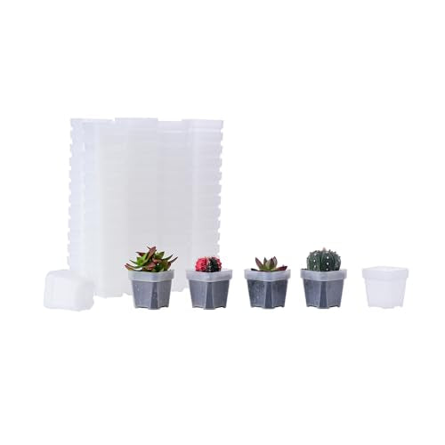 100 Pack 2.55 Inch Small Clear Plastic Square Nursery and Seedling Pot with Drain Hole for Germination, Cactus, Herb, Succulent - color: Clear, size: 2.55 inch