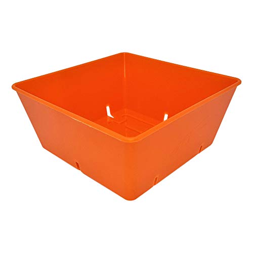 Bootstrap Farmer 5x5 Grow Trays 80 Pack, Orange | Extra Thick Inserts for Microgreens, Wheatgrass & Seed Starting - color: Orange, size: 80 Pack