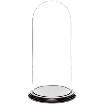 Plymor 5.5" x 13" Glass Display Dome Cloche (Black Wood Veneer Base) - color: Black Wood Veneer Base