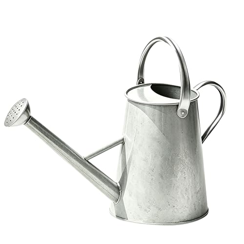 1.5 Gallon Metal Watering Can for Outdoor Plants, Large Watering Can, Zinc - color: Zinc