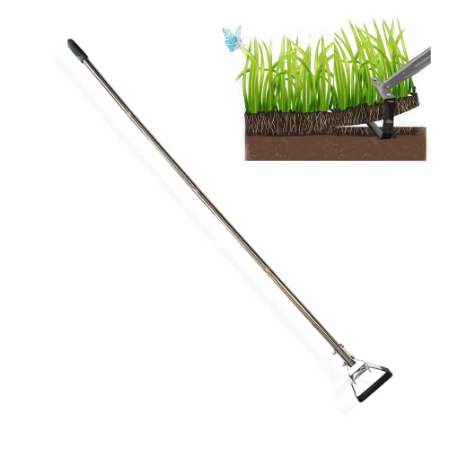 Stirrup Hoe Gardening Tools Hula Hoe Replacement Head 304 Stainless Steel 2 Pack