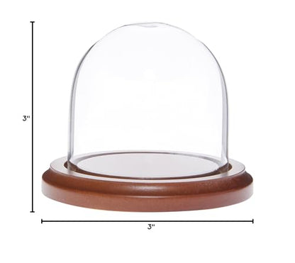 Plymor 3" x 3" Glass Display Dome Cloche (Walnut Base) - color: Walnut Base