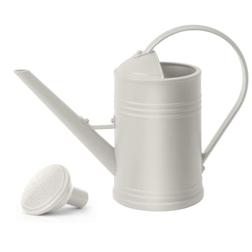 2L Watering Can Pitcher Water Pot, 2-in-1 Pour/Shower (White) - color: White