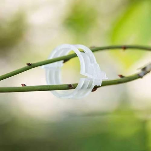200 Pcs Plastic Trellis Plant Support Clips for Support, Grape and Tomato Vine, Vegetables Plants, Garden Clips to Grow Upright Makes Plants Healthier