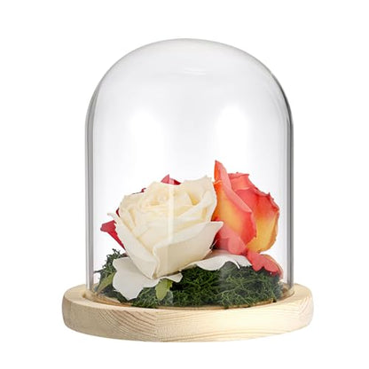 Hipiwe Glass Display Dome Cloche with Wood Base Clear Glass Display Bell Jar Decorative Flower Display Dome for Plants, Figure, Antique Collectibles, 4.5 x 6.1 Inches - size: 4.5 x 6.1 Inch