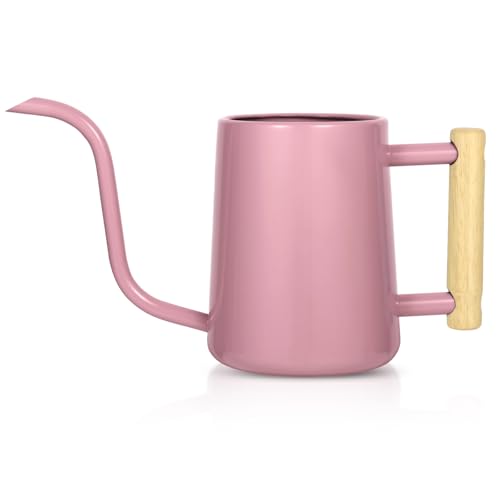 Watering Can Indoor Plants, 35 oz/1000 ml Metal Stainless Steel Watering Can Pot with Long Spout for Indoor House Plants Bonsai Outdoor Garden Flower Decorative (Pink) - color: Pink