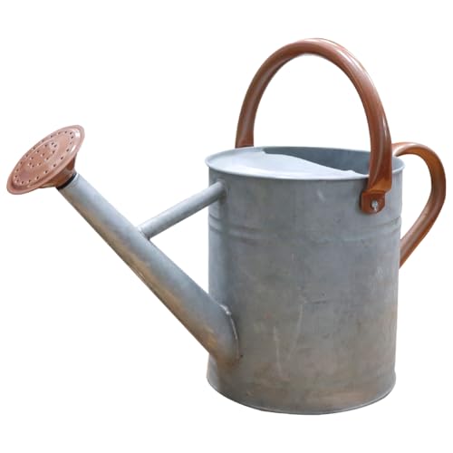 Metal Watering Can 1 Gallon for Outdoor Garden Plants, Zinc - color: Zinc
