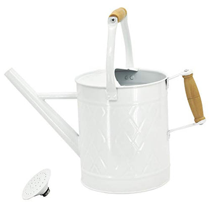 1 Gallon White Metal Watering Can with Wooden Handles - color: White, size: 1 Gallon